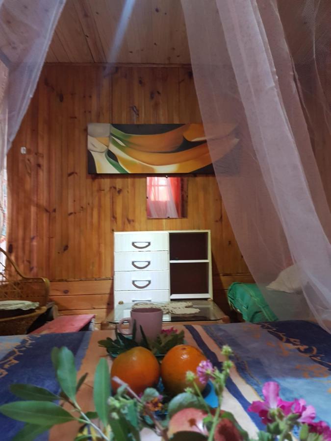 Cabana La Rustika Punta Del Diablo Exteriér fotografie